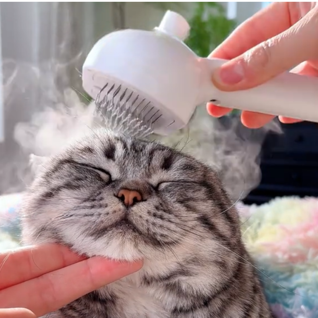 Steamly - En lugnare pulsvårdsrutin