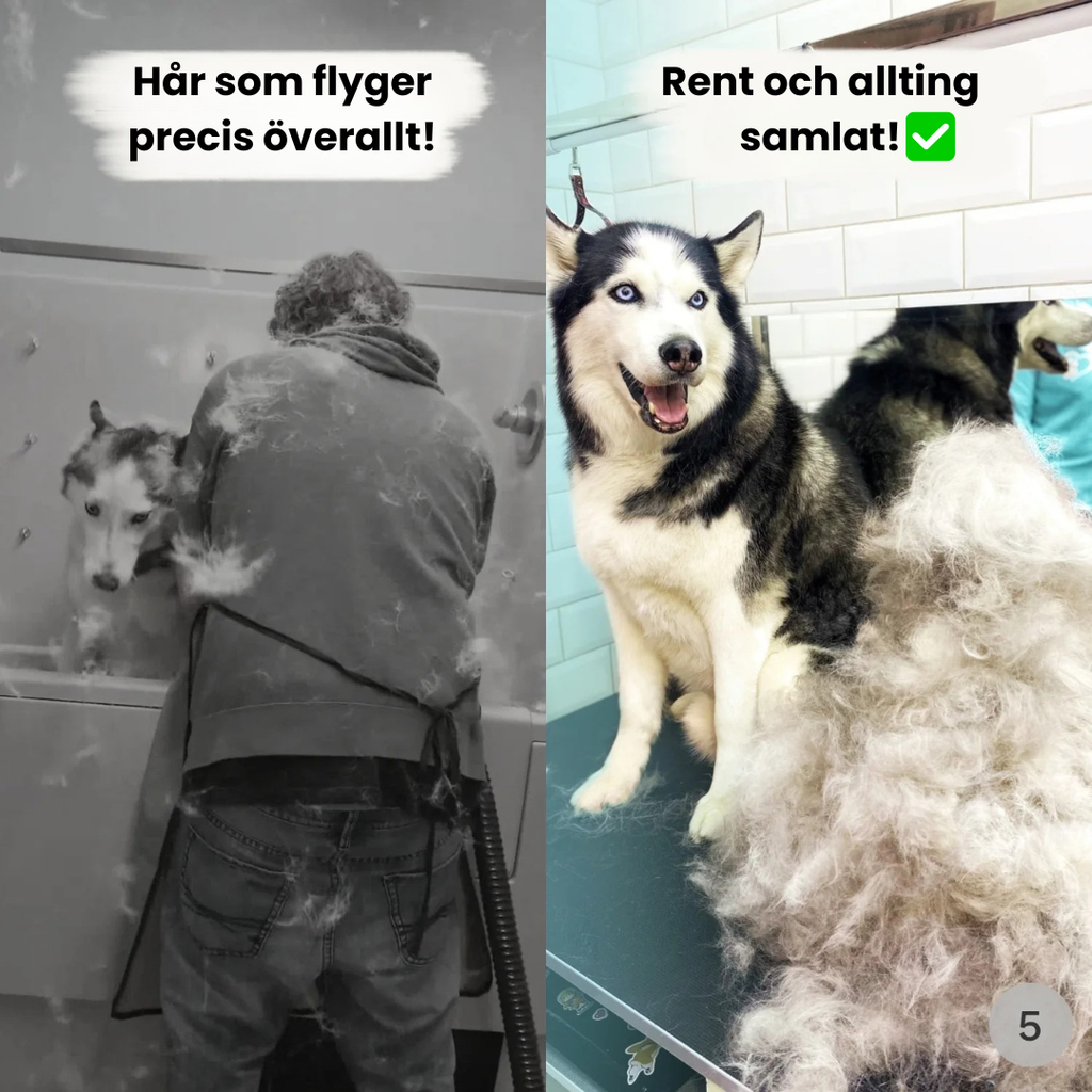 Steamly - En lugnare pälsvårdsrutin